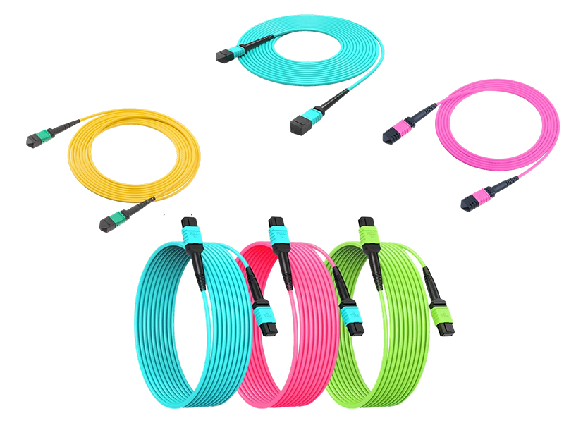2.3-1 MPO Patch Cords