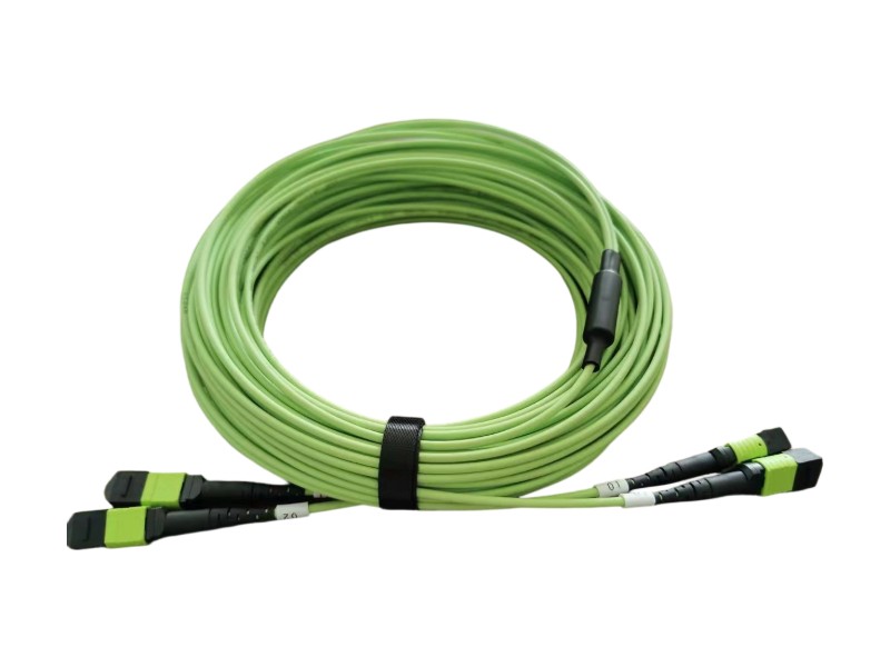 24-Fiber OM5 MPO-MPO Patch Cord For Data Centers